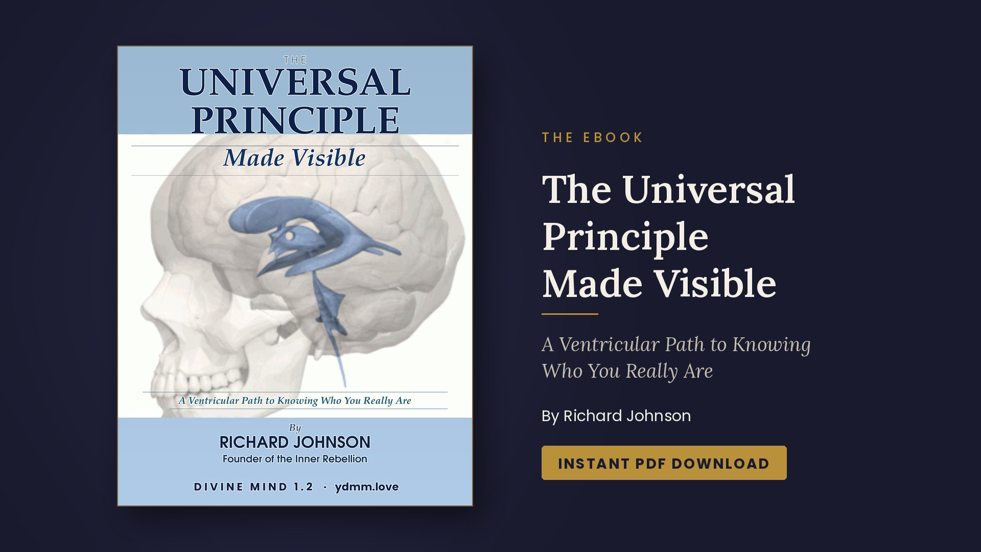 The Universal Principle Made Visible (eBook)