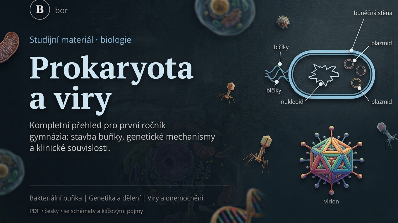 Prokaryota a viry