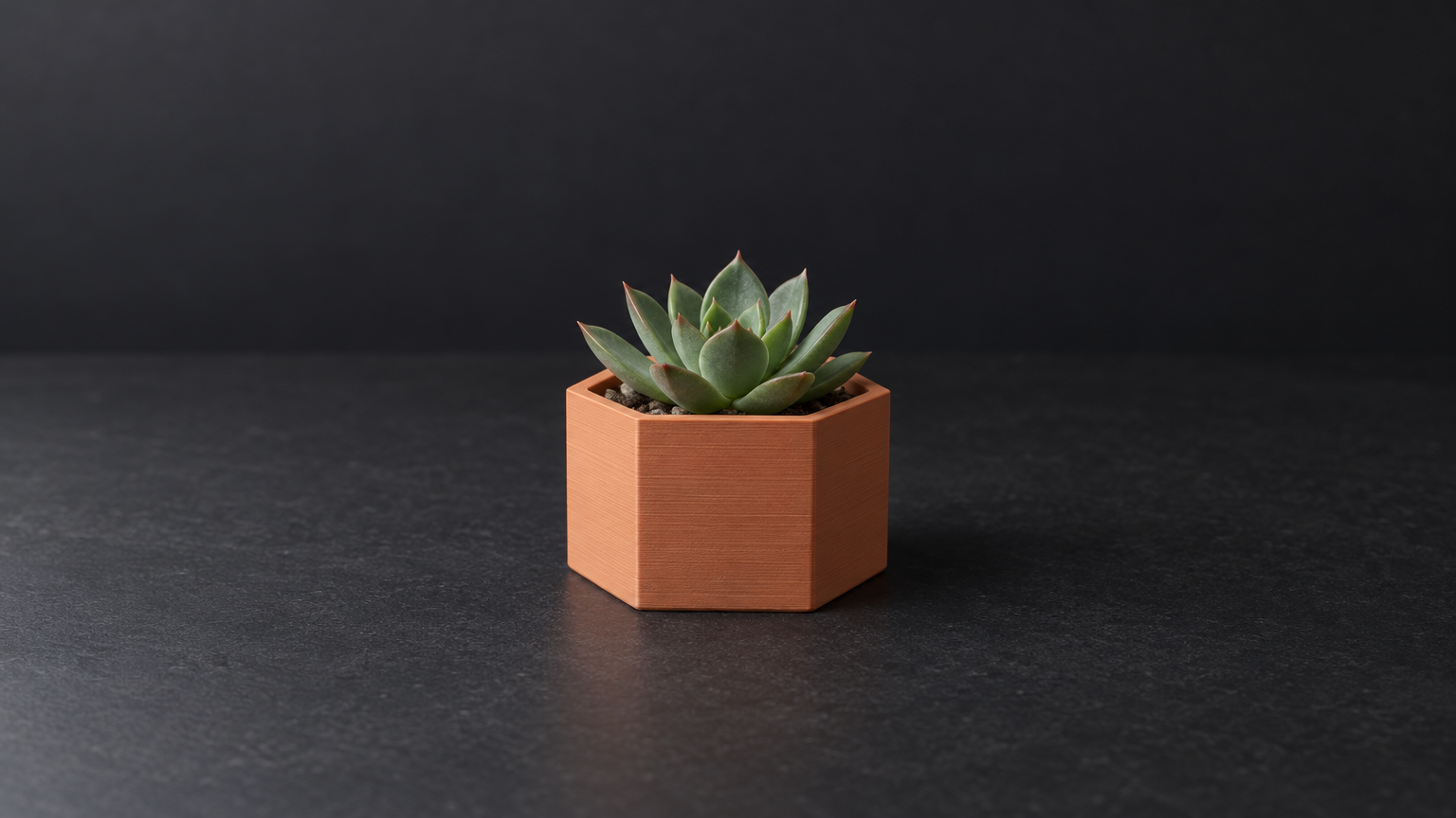 Hex Planter — Print-Ready STL