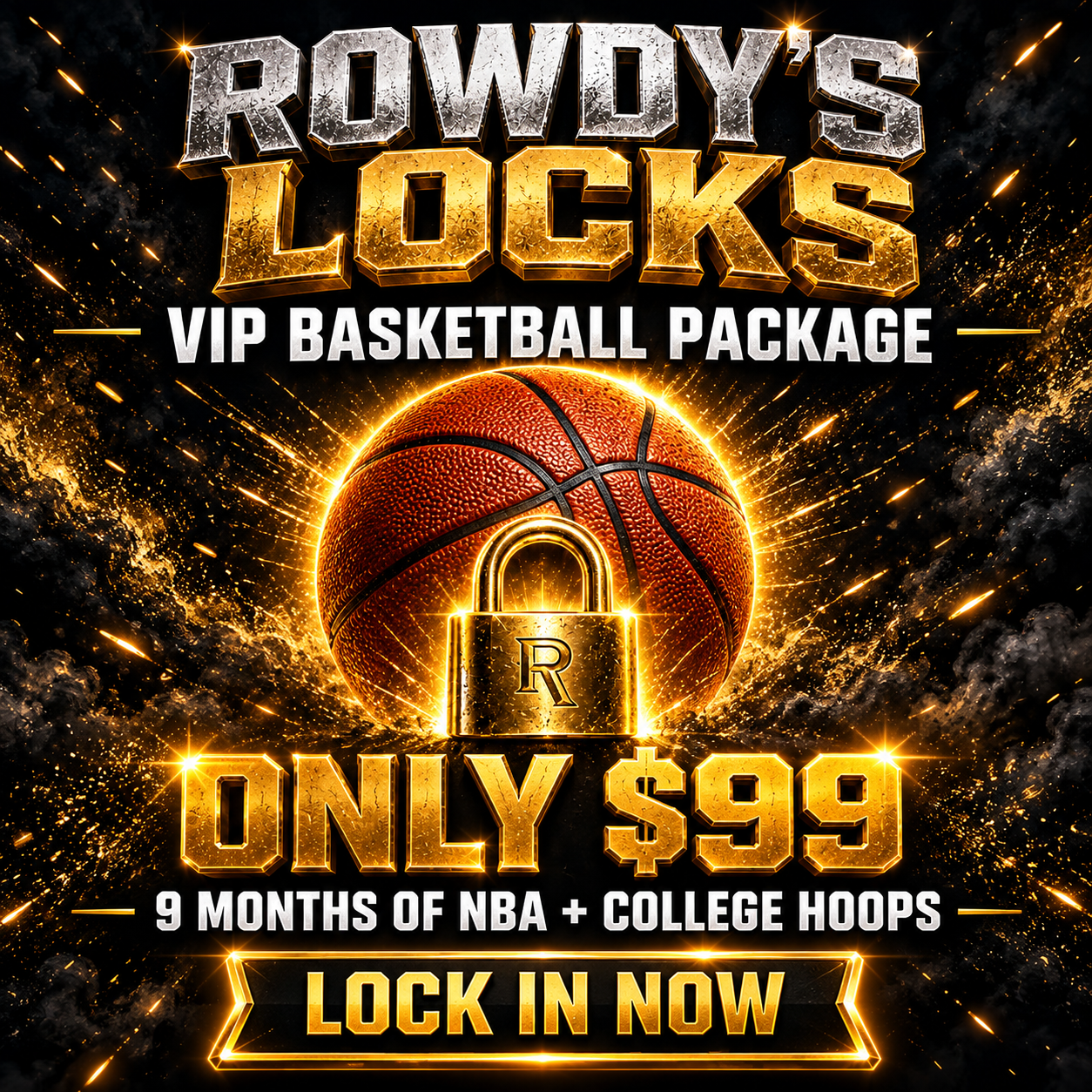 VIP BASKETBALL PACKAGE 