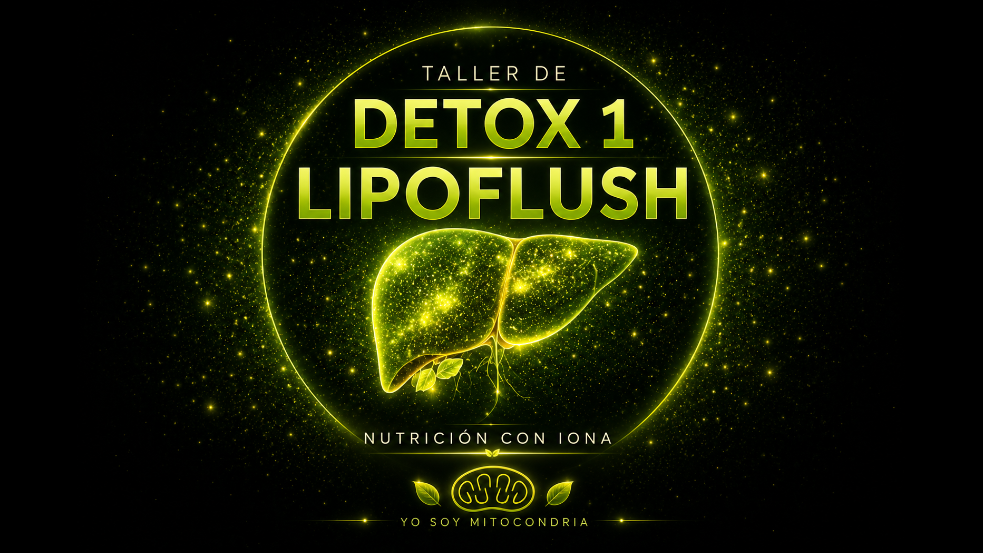 DETOX LIPO FLUSH