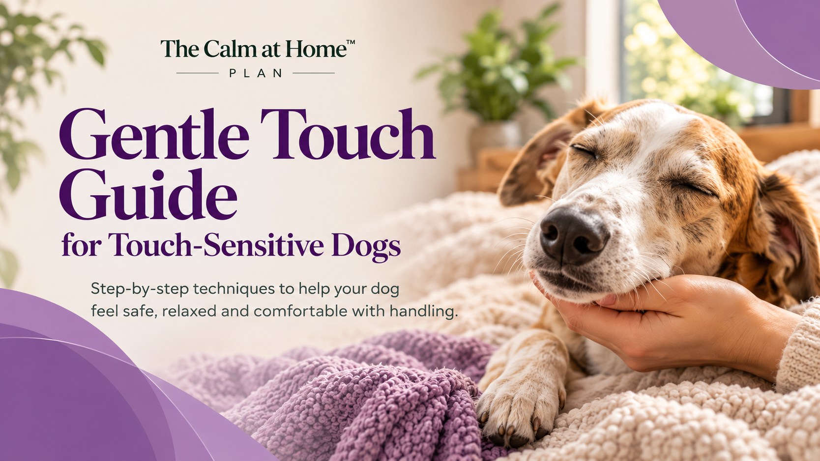 Calm-at-Home™ - Gentle Touch Guide