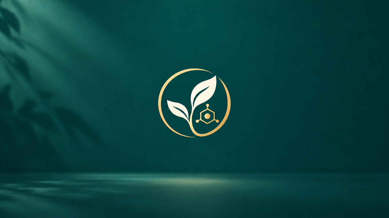1-on-1 Regenerative Coaching