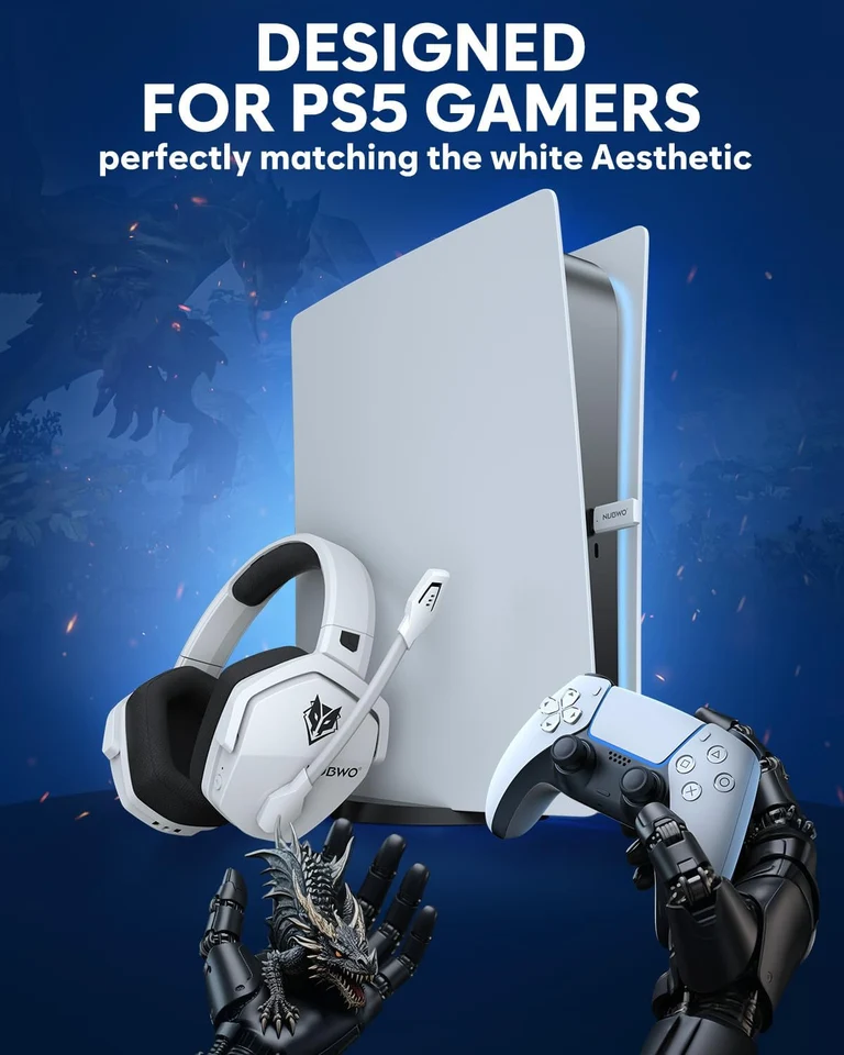 Dual Wireless Gaming Headset
