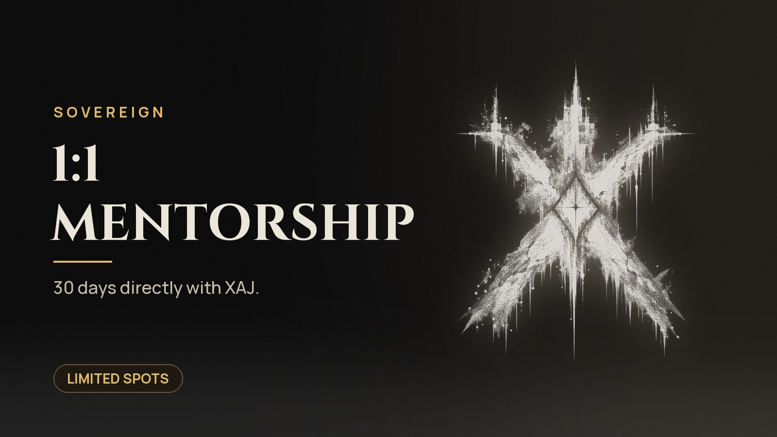 1:1 Mentorship