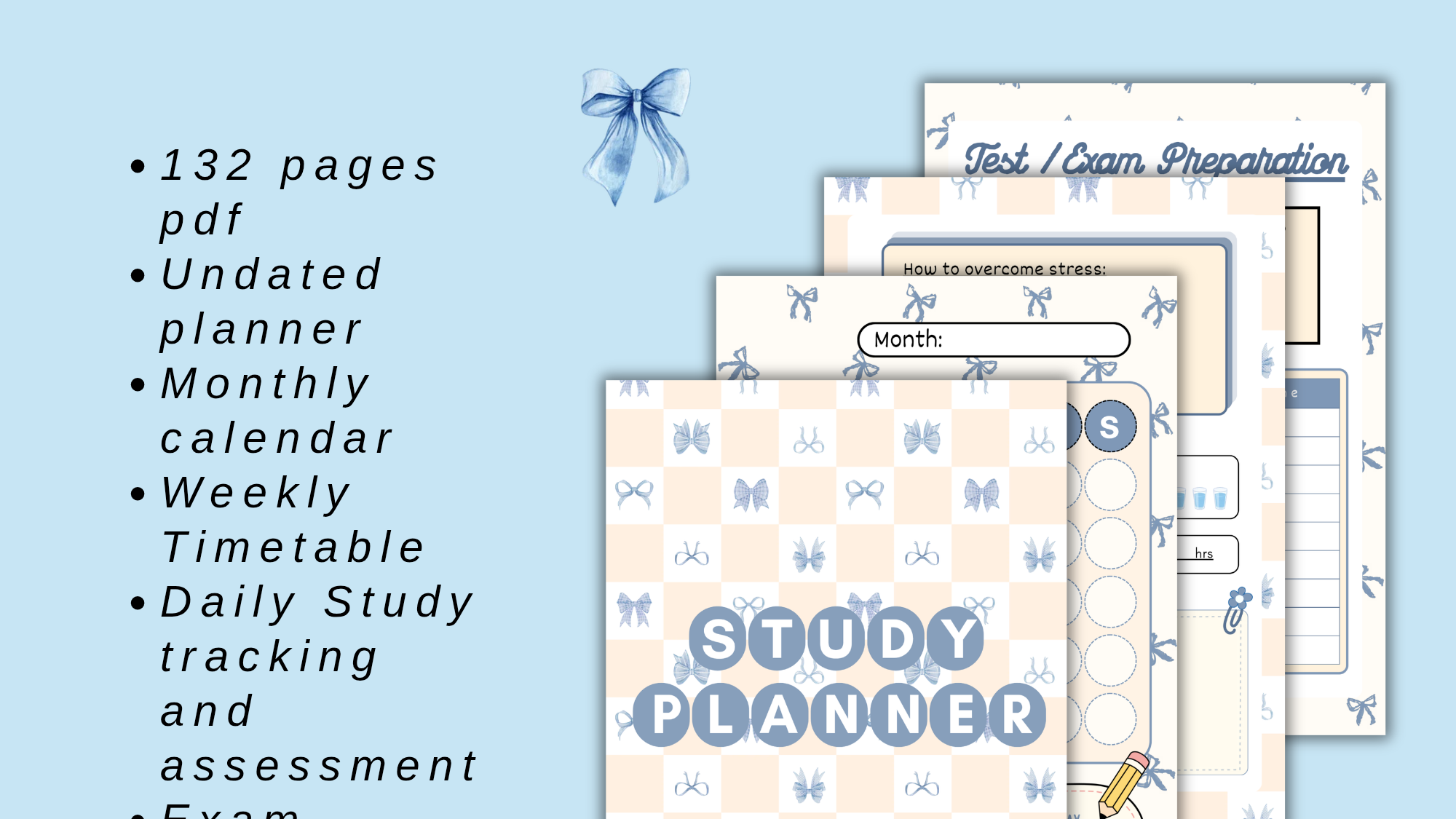Coquette Study & Exam Prep Planner
