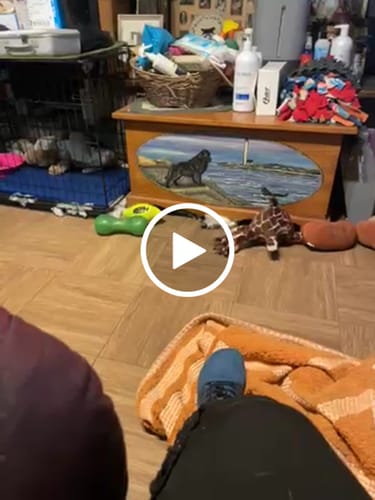 Customer video review of UniGrip - Optimal Health & Traction Shoes (Unisex)