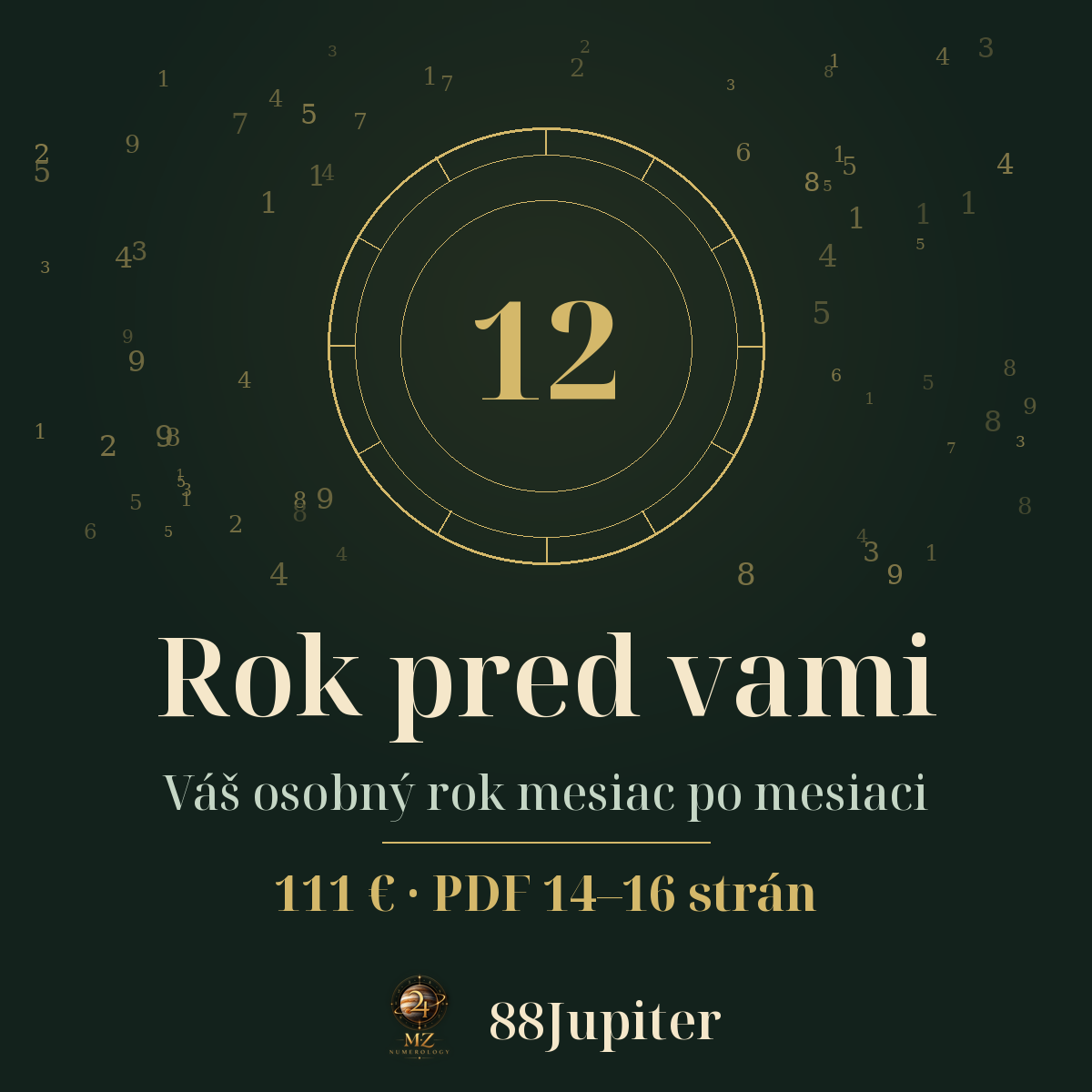 Rok pred vami
