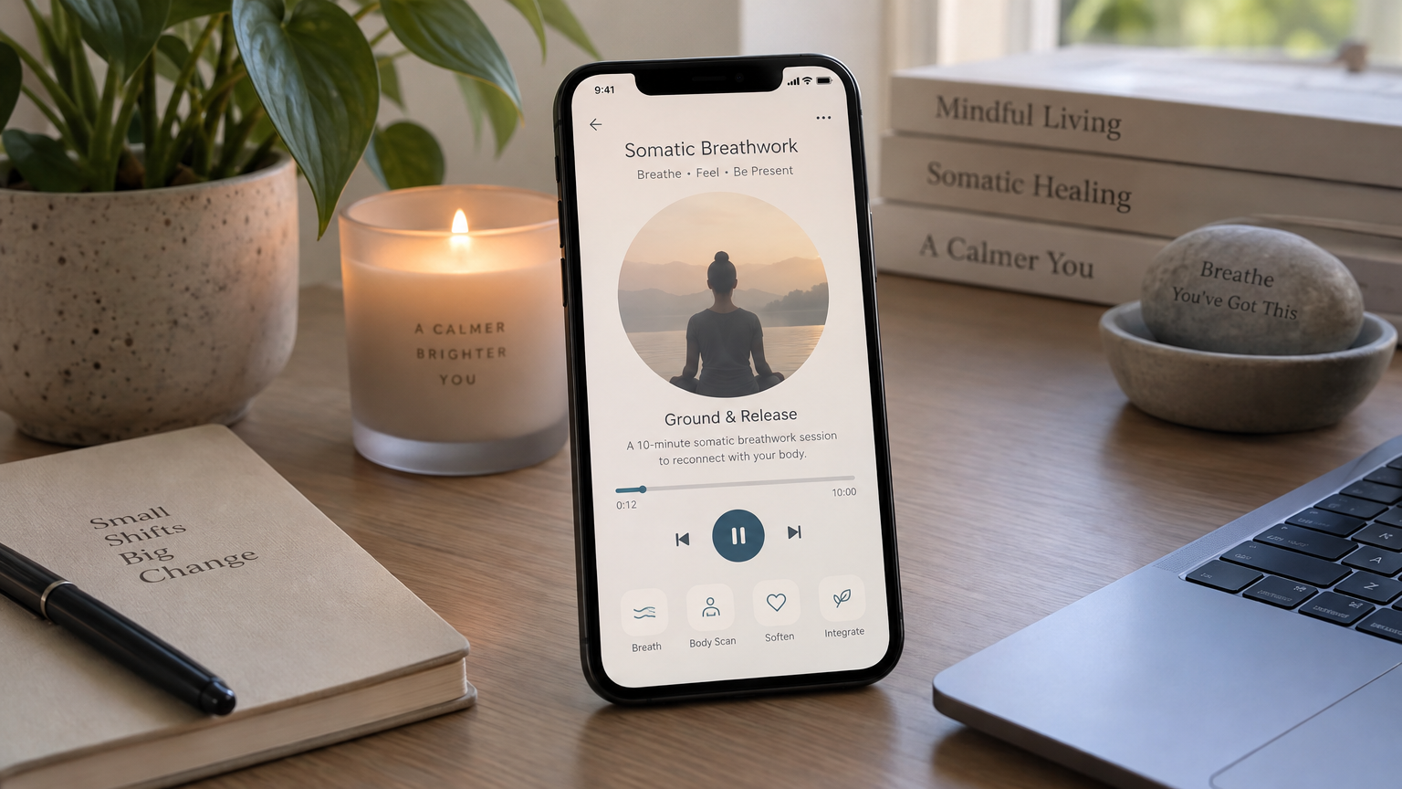 Mindful Stress Reset