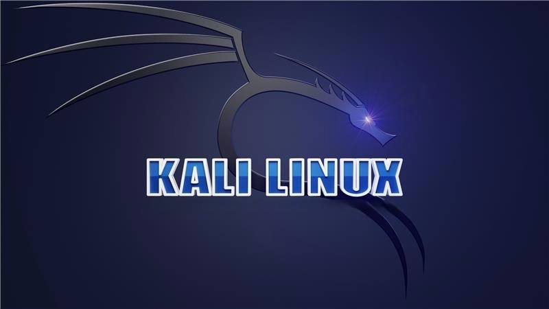Hands on penetration testing with kali linux