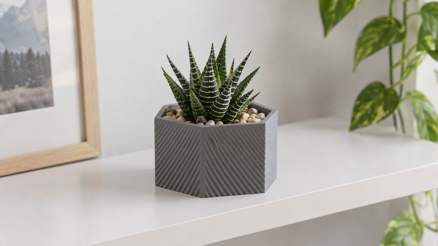 Hex Succulent Planter — Print-Ready STL
