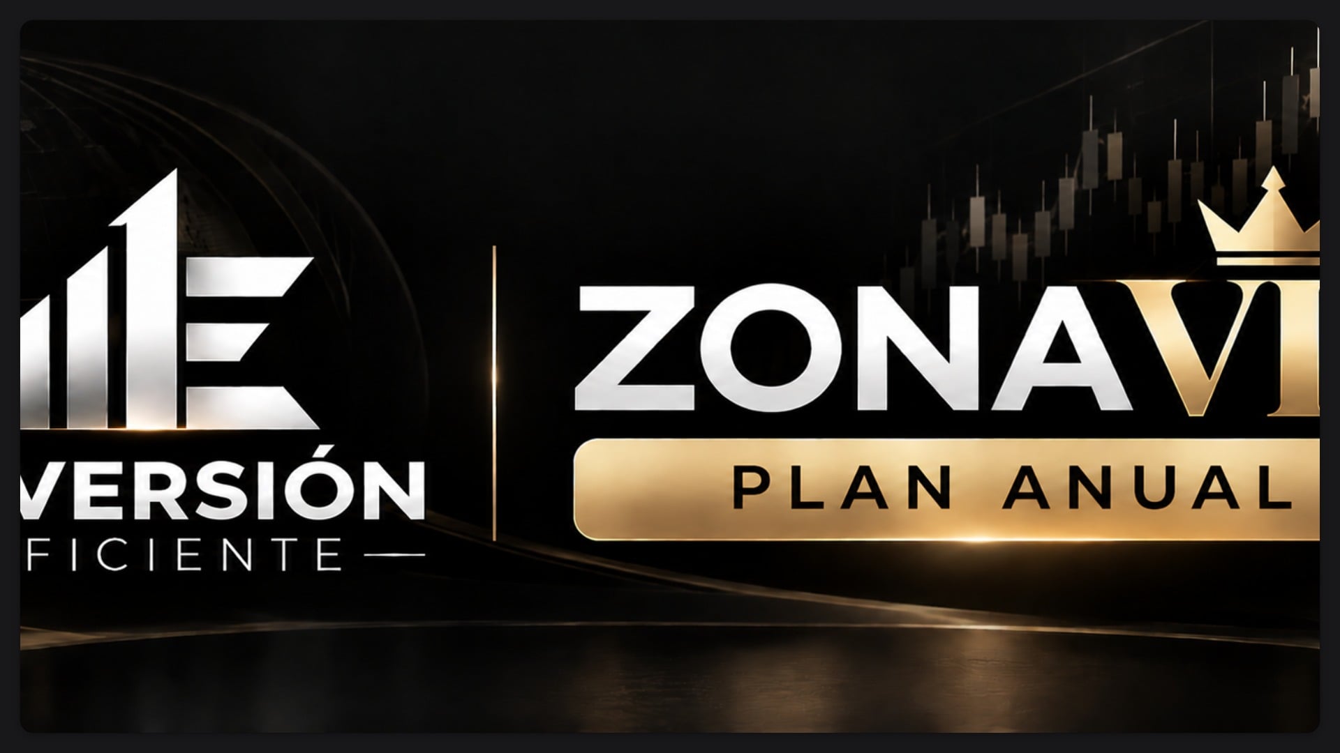 Plan Anual Zona VIP Inversión Eficiente Solo Academia