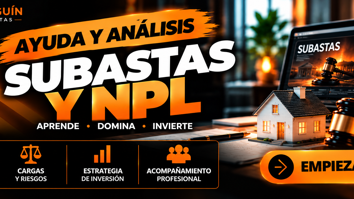 Mentoría: Subastas y NPLs