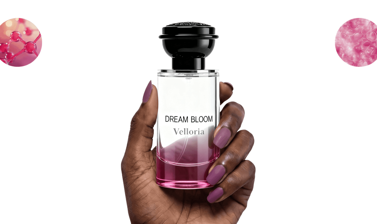 A hand holding Velloria Dream Bloom