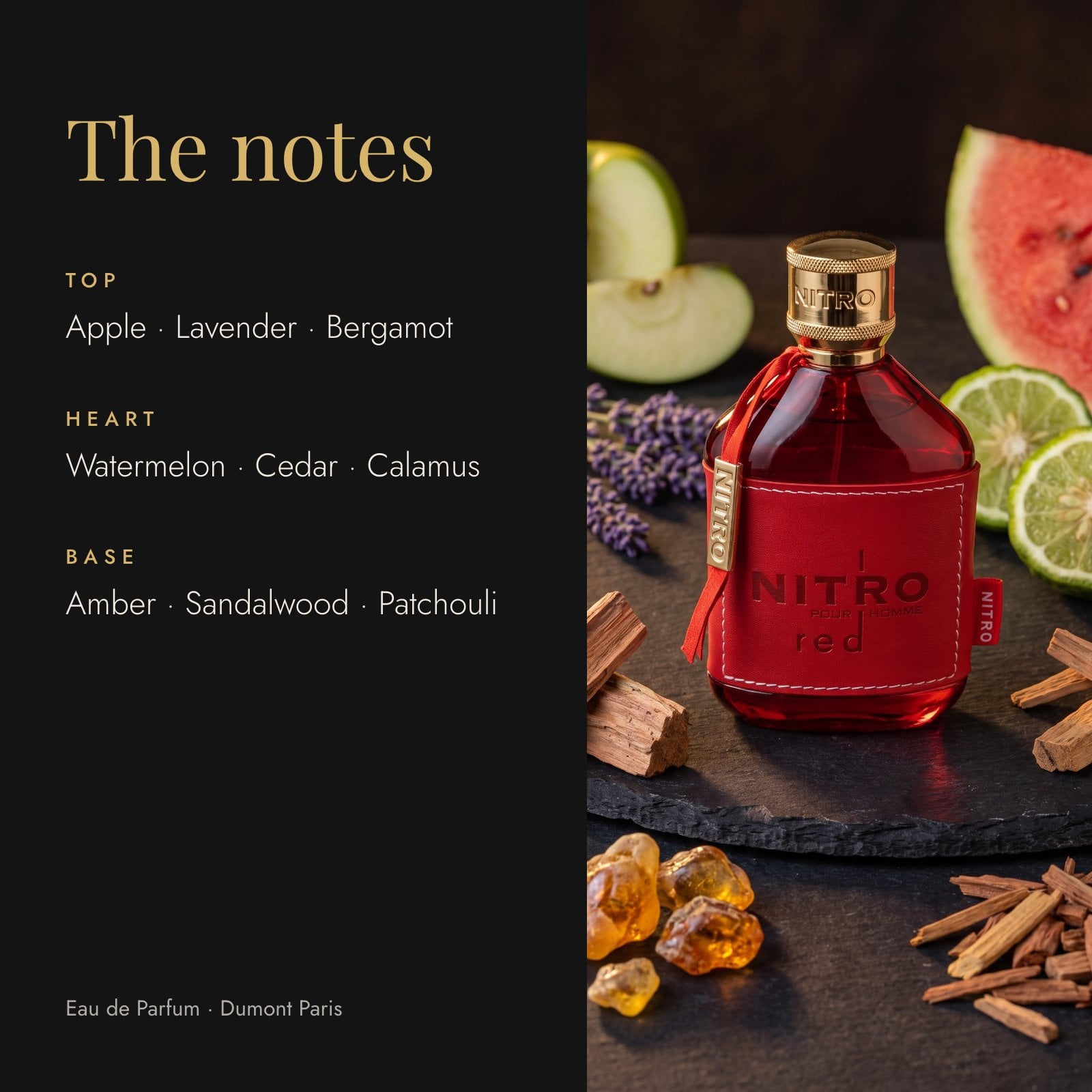 Dumont Paris Nitro Red Pour Homme Eau de Parfum