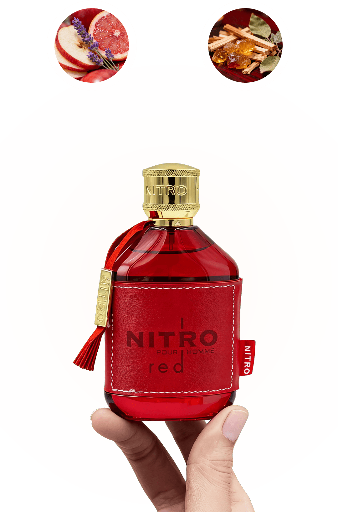 A hand holding Dumont Paris Nitro Red