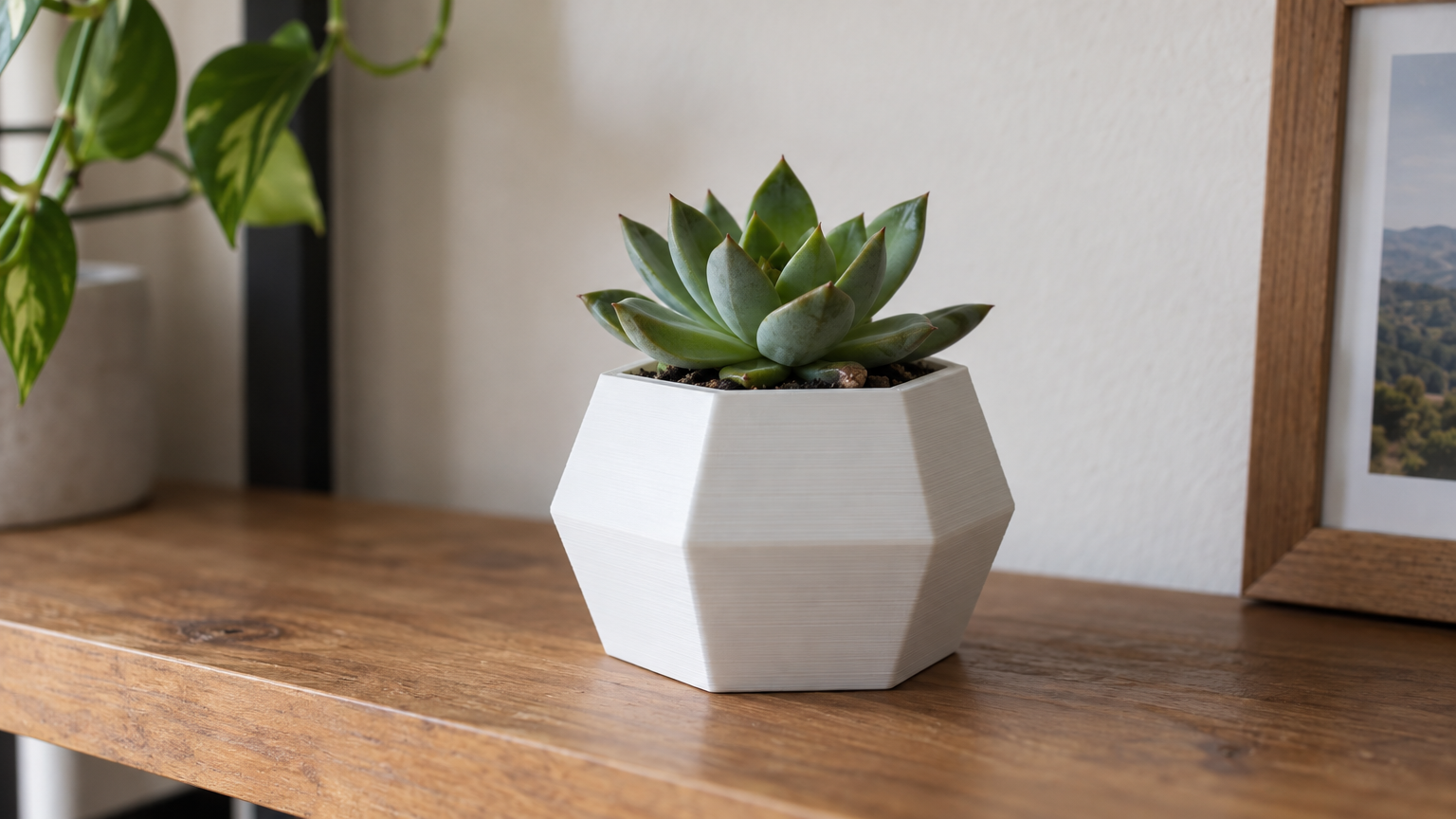 Hex Succulent Planter — Print-Ready STL
