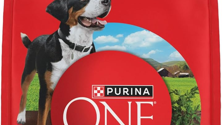 Purina ONE Chicken & Rice Formula Dry Dog Food 8lb