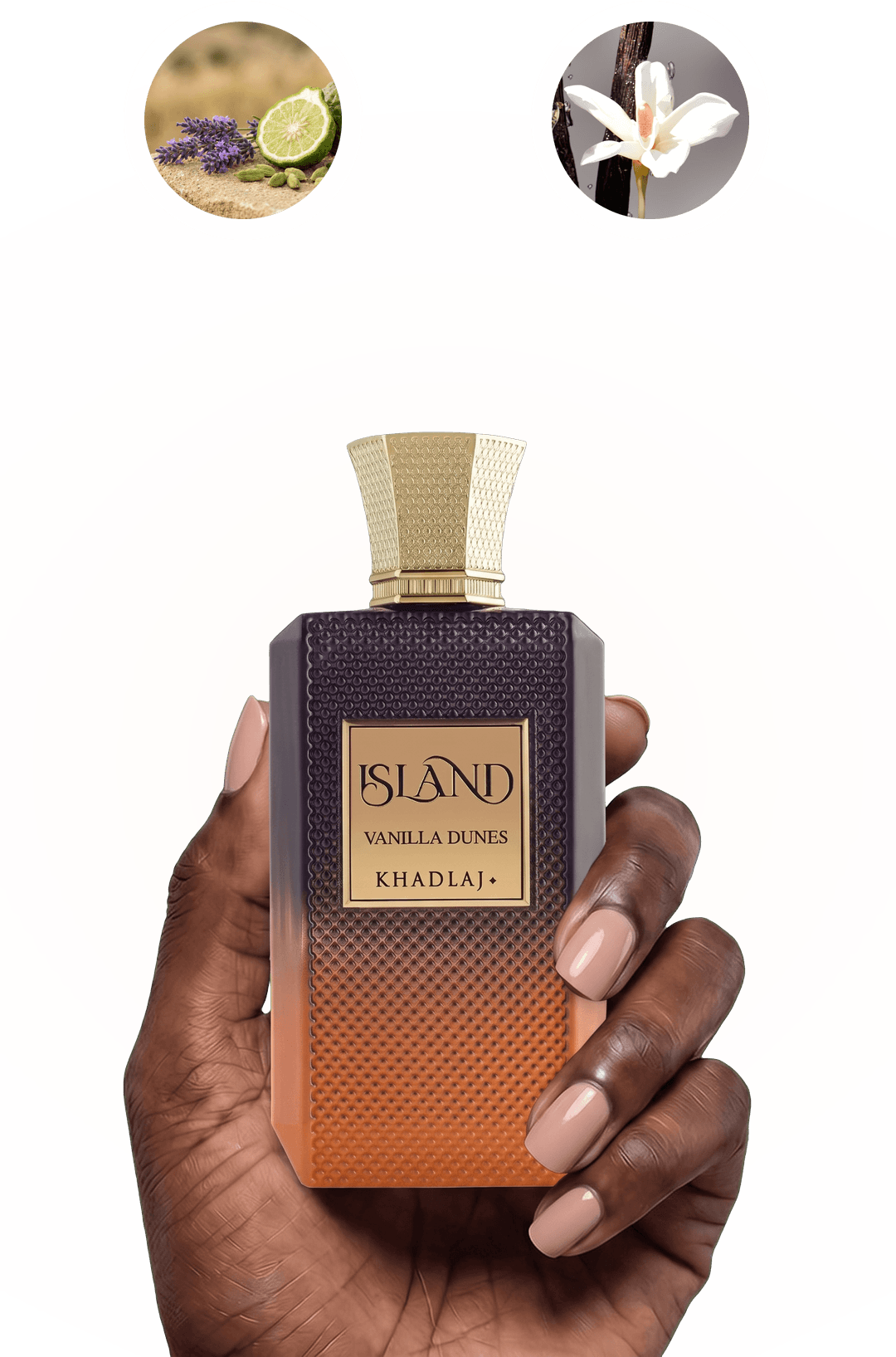 A hand holding Khadlaj Island Vanilla Dunes