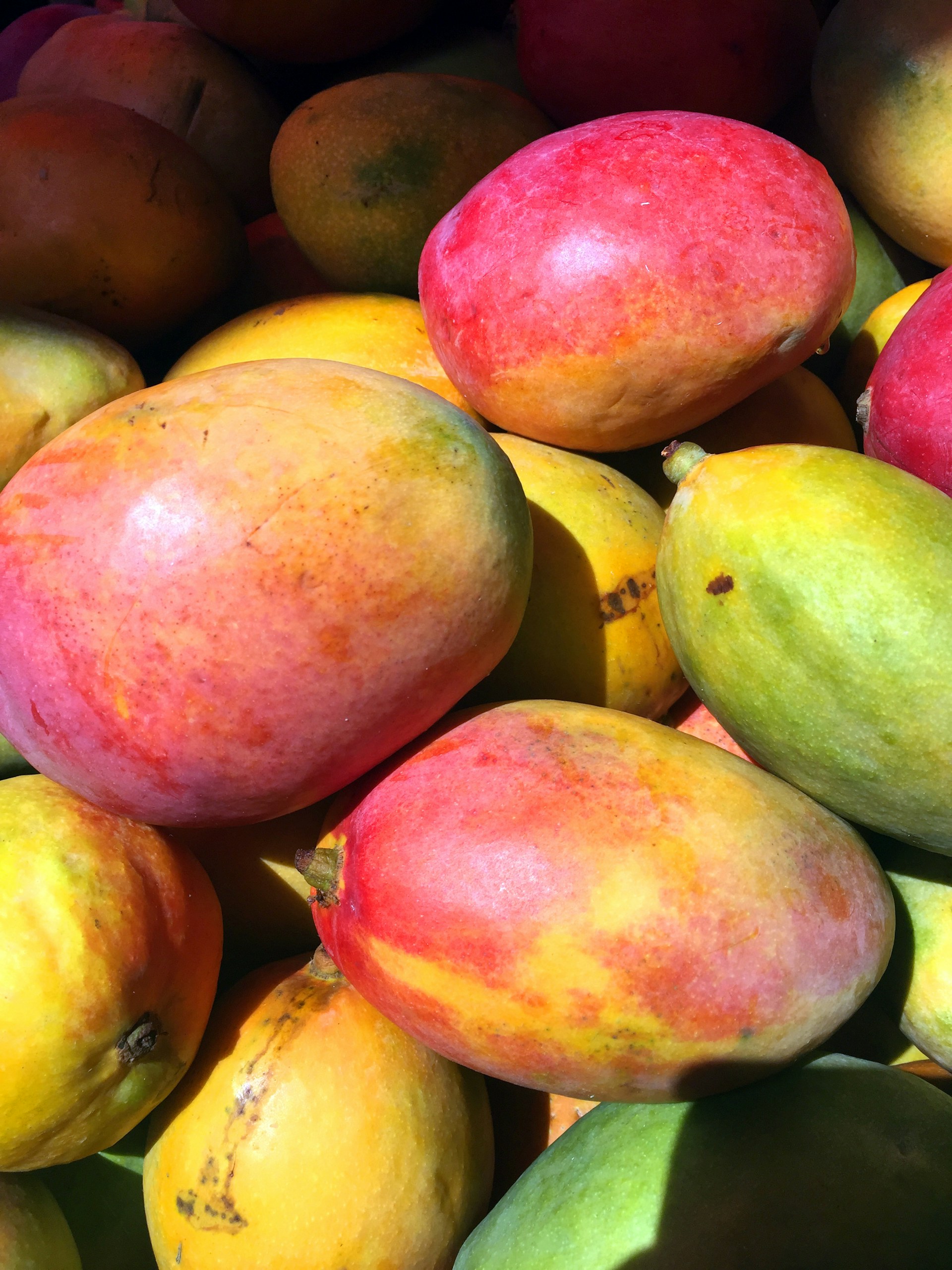 Mango Fruit Cookbook