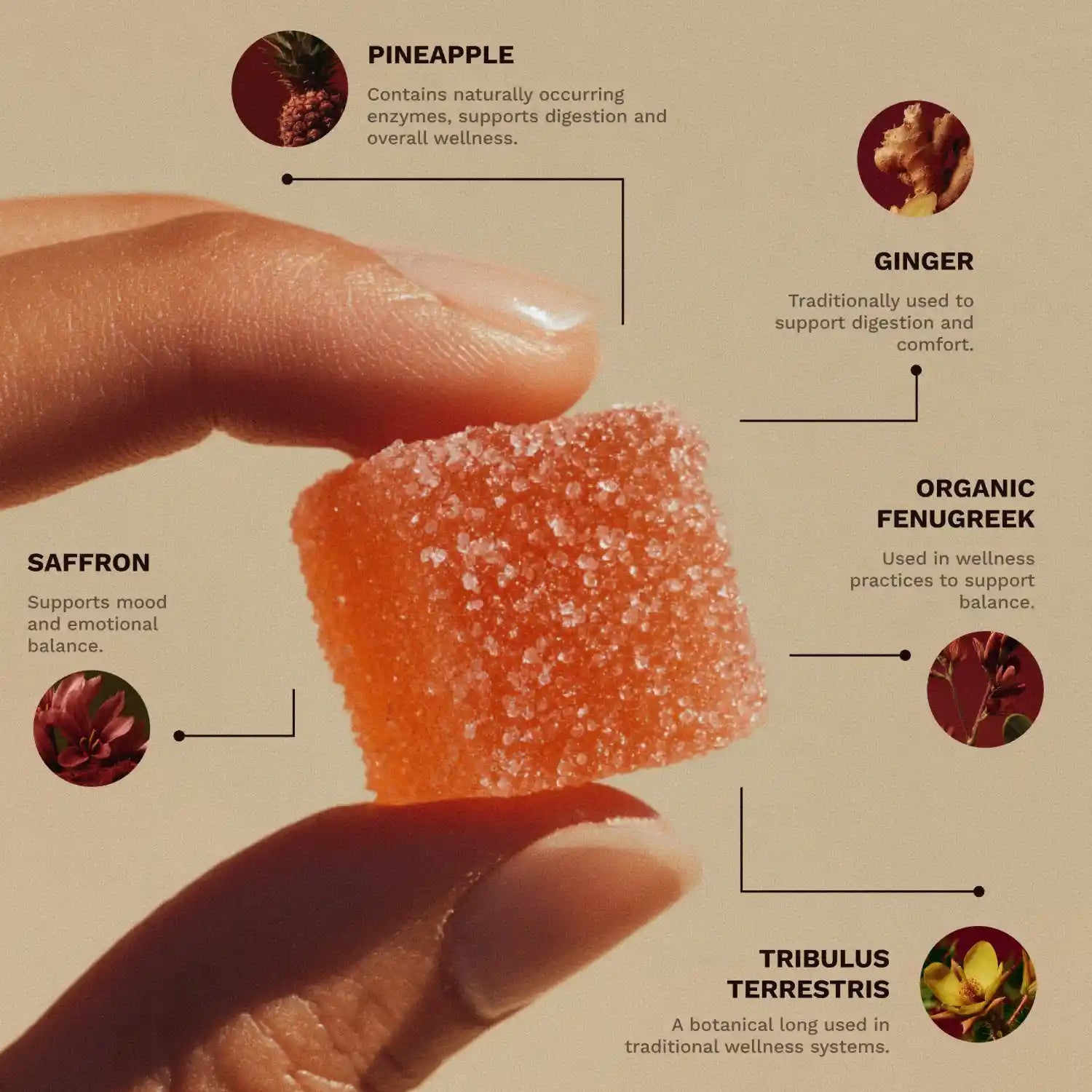 Spicy Cubes Pineapple Dailies For Her