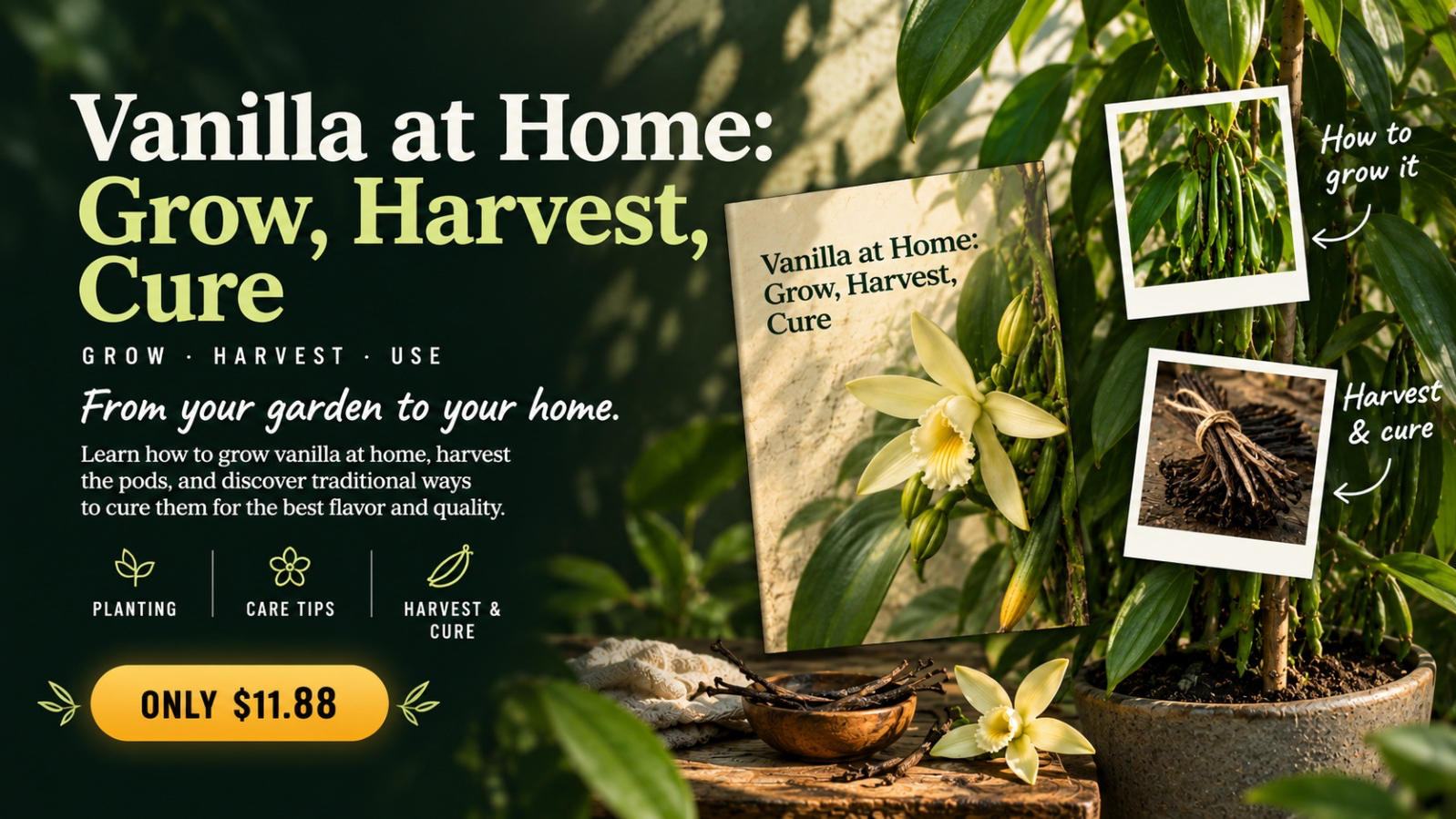 Vanilla at Home: Grow, Harvest, Cure