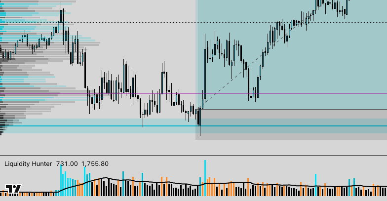 Liquidity Hunter 