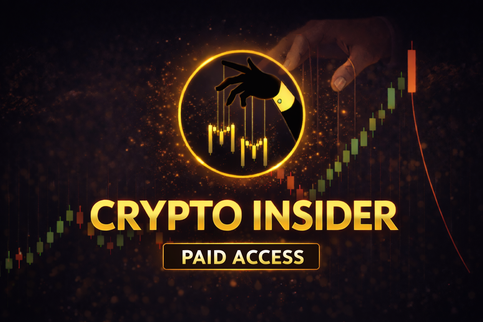 Alpha Membership
