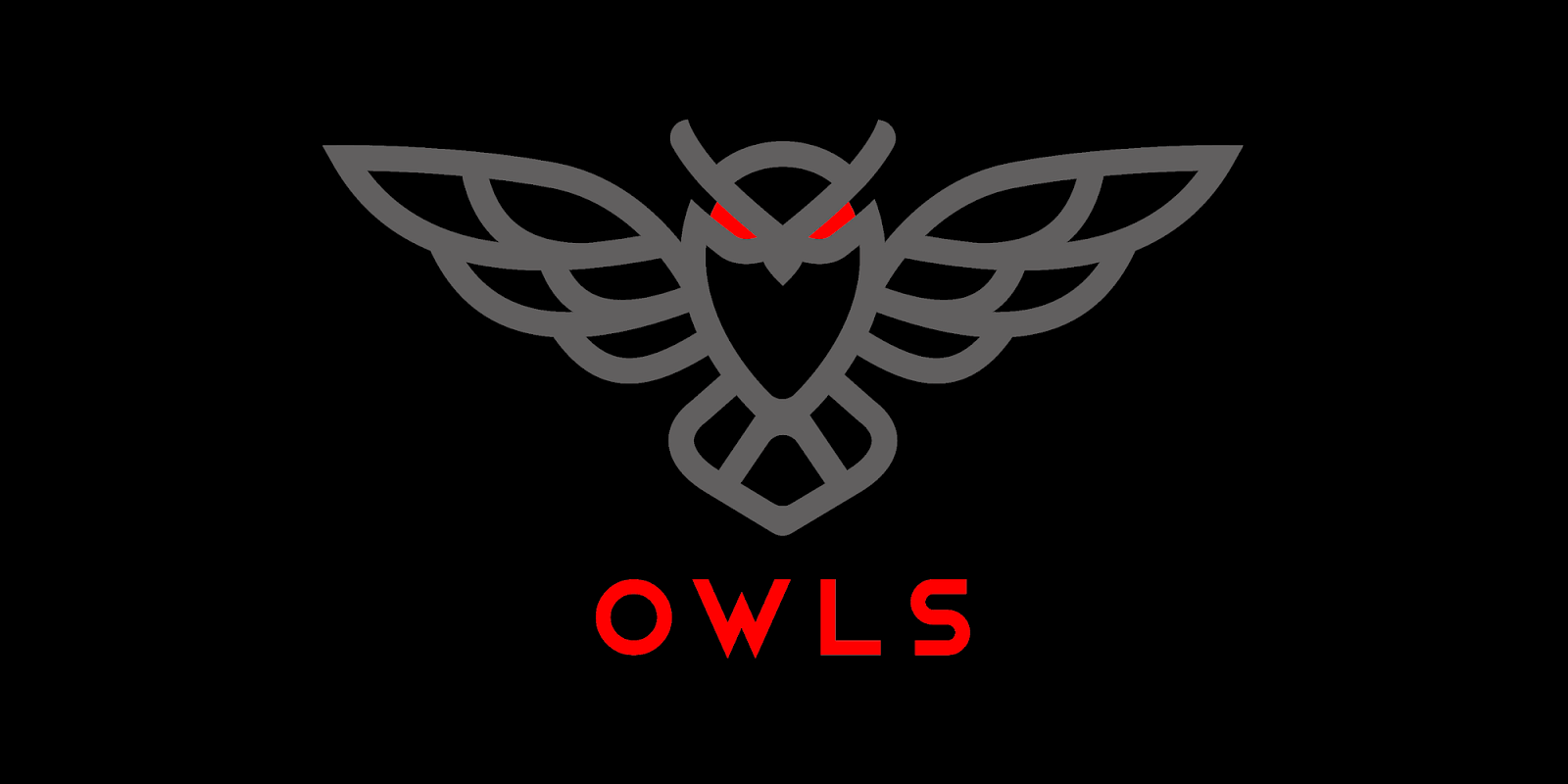 Owls Options Traders banner