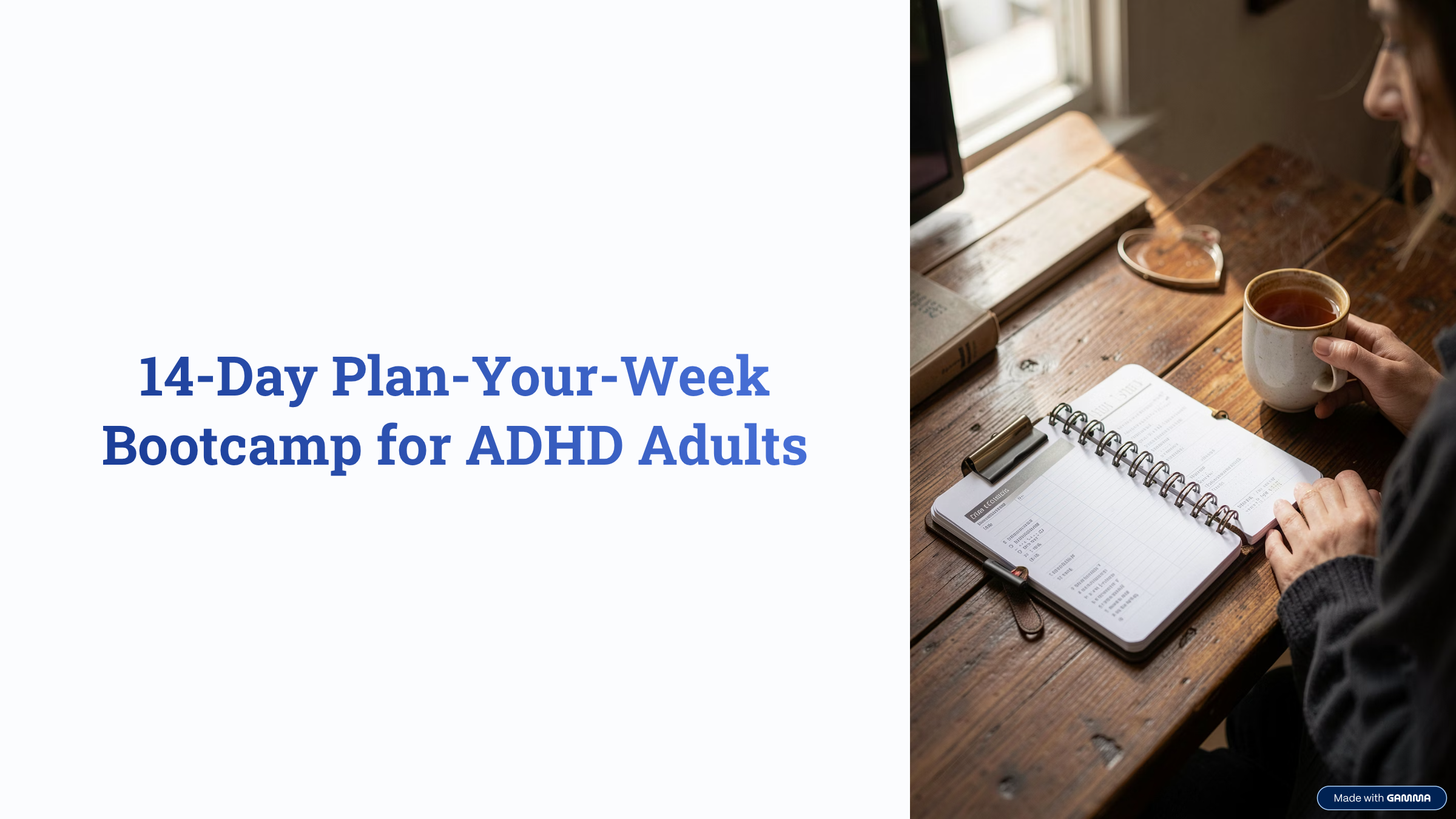 The 14-Day Plan-Your-Week Bootcamp for ADHD Adults