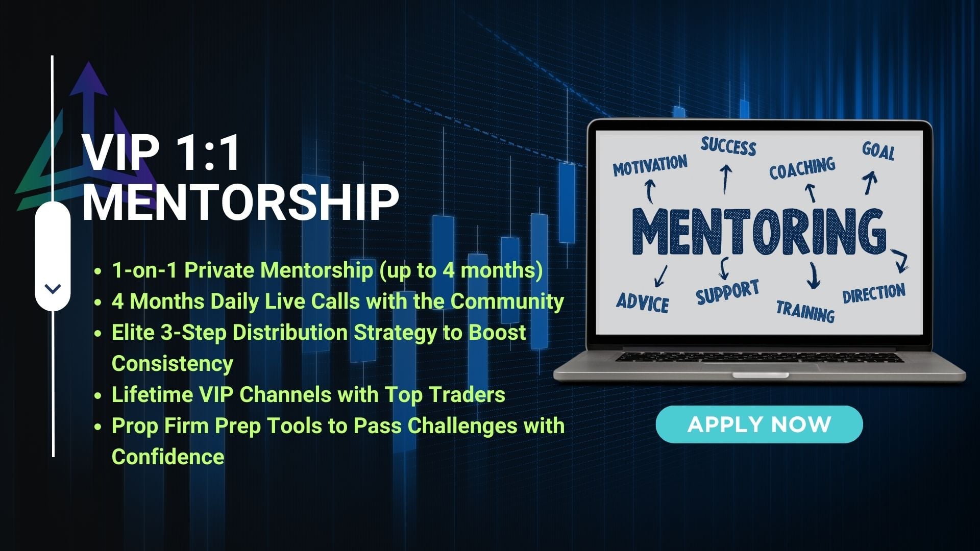 VIP Mentorship