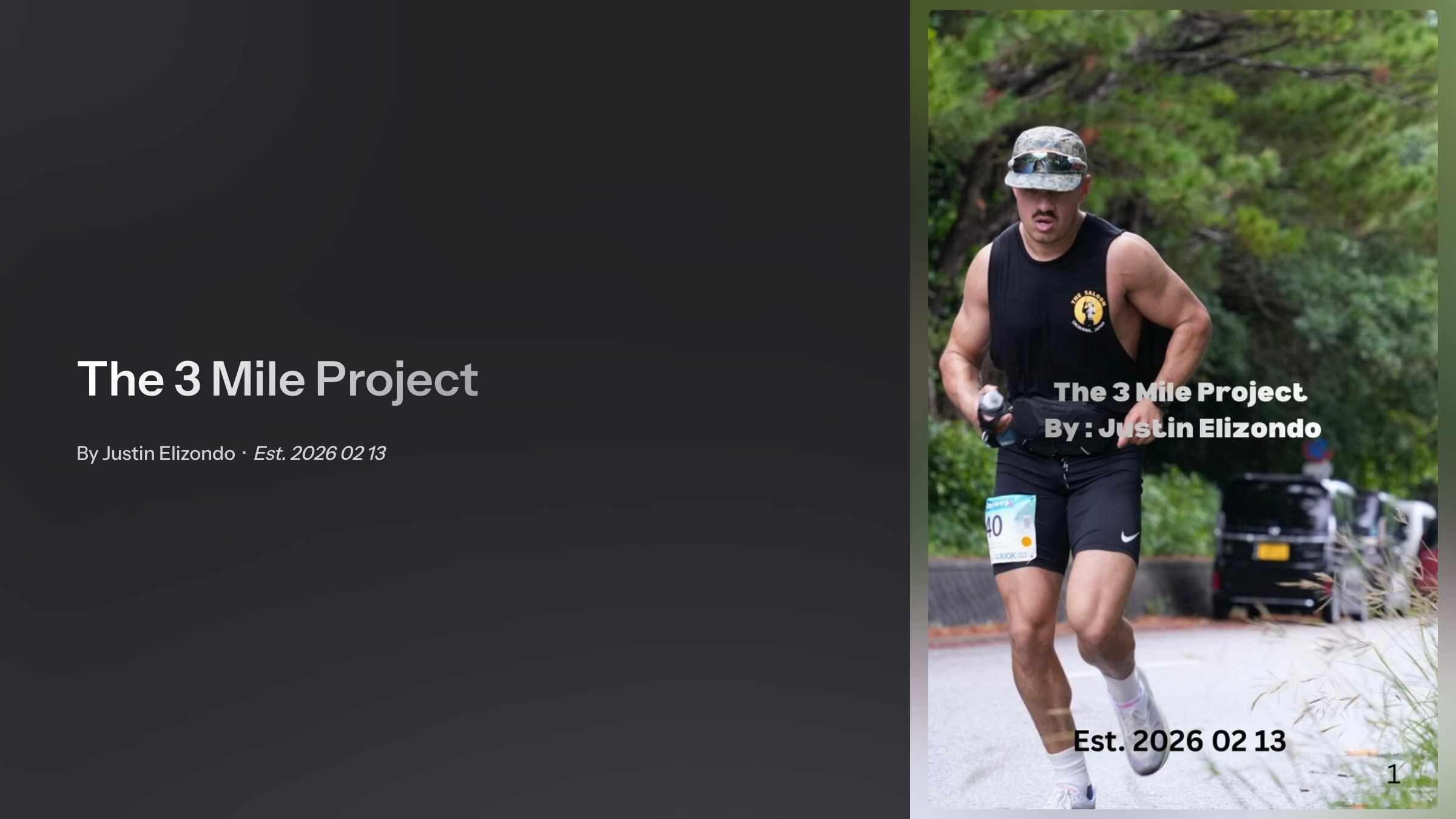The 3 Mile Project
