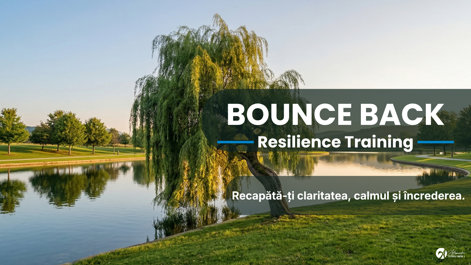 Bounce Back - Resilience Training