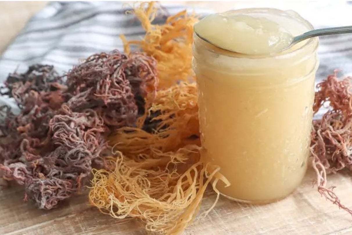 Sea moss 