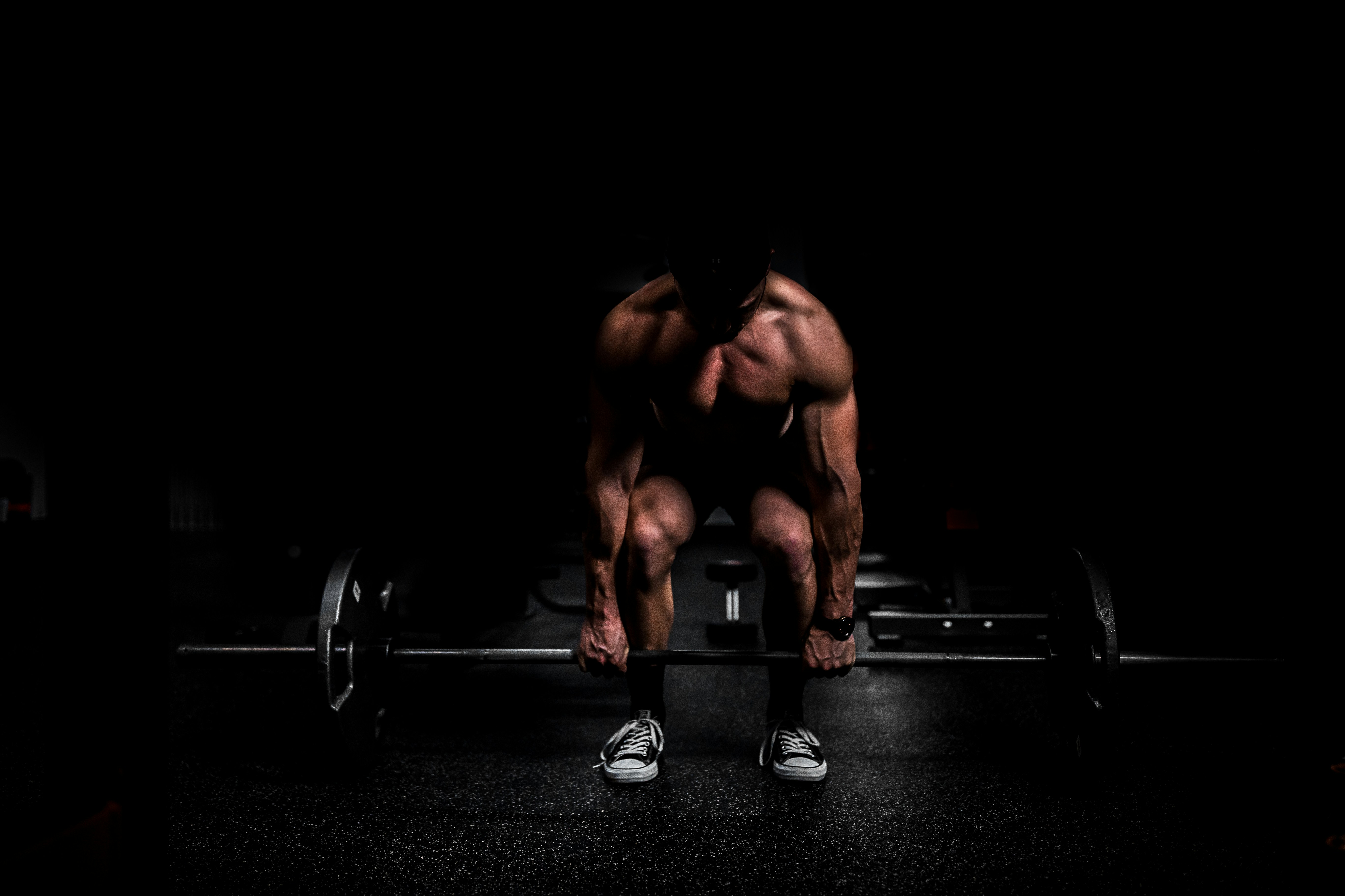 The Fat Loss Formula