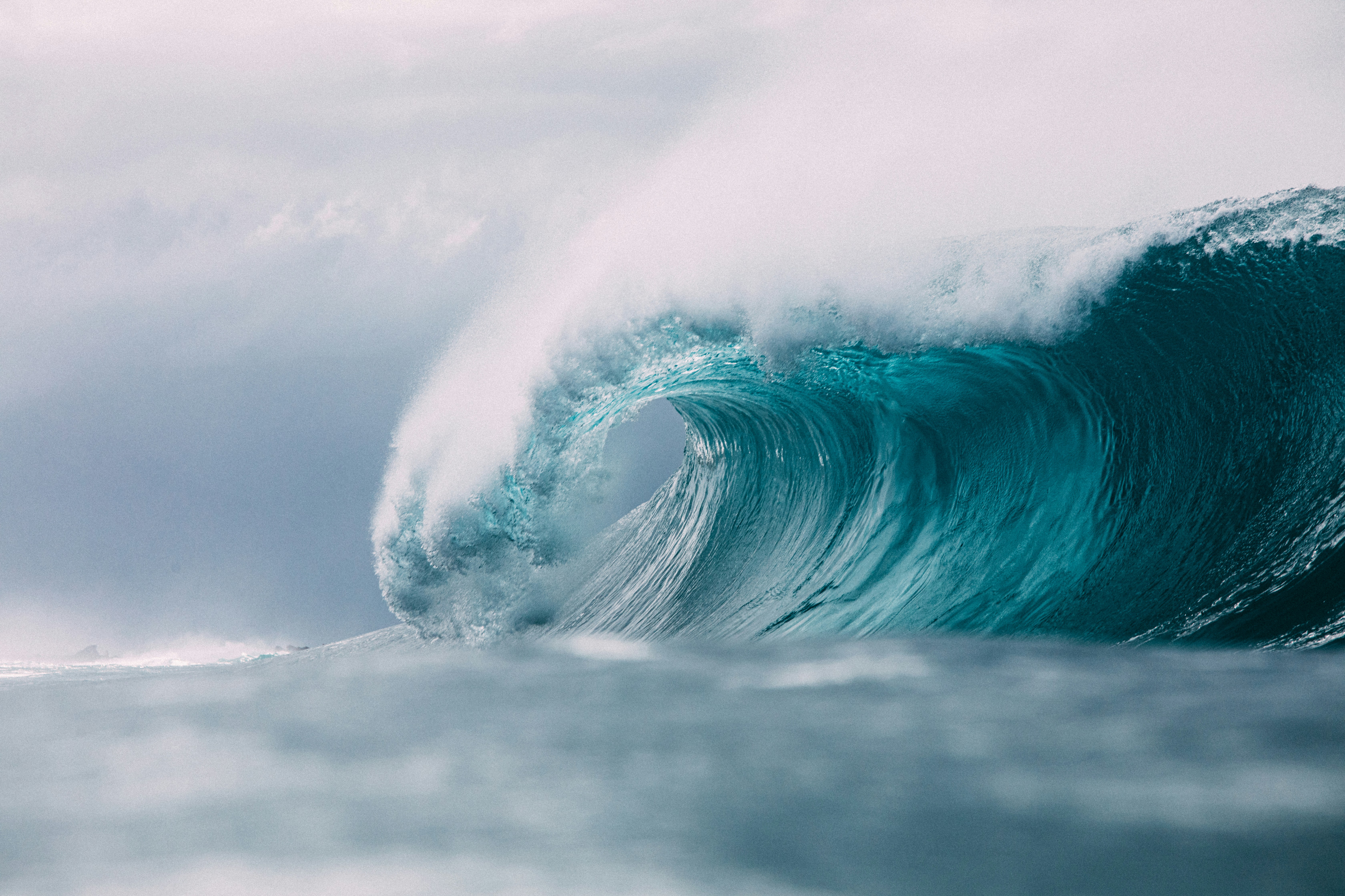 DripWave.Co