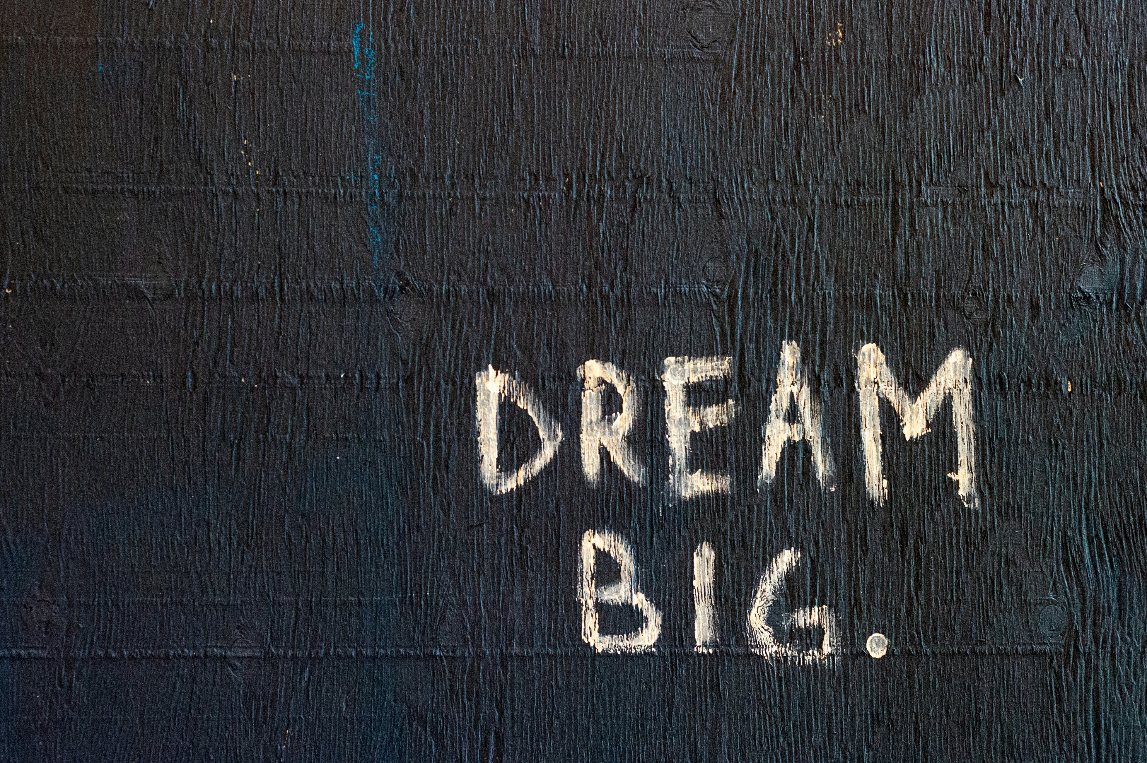 The Beginner Blueprint