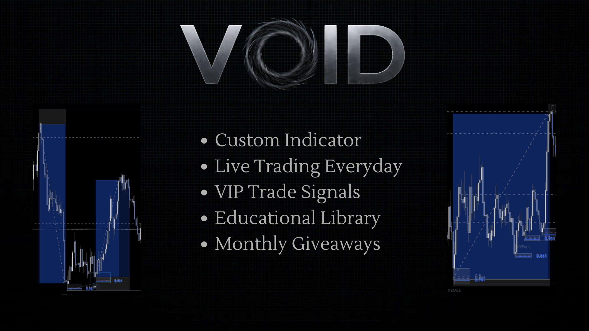 VOID 1-on-1 Mentorship
