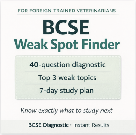 👉 BCSE Weak Spot Finder Quiz