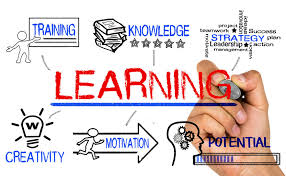 Business Learning 