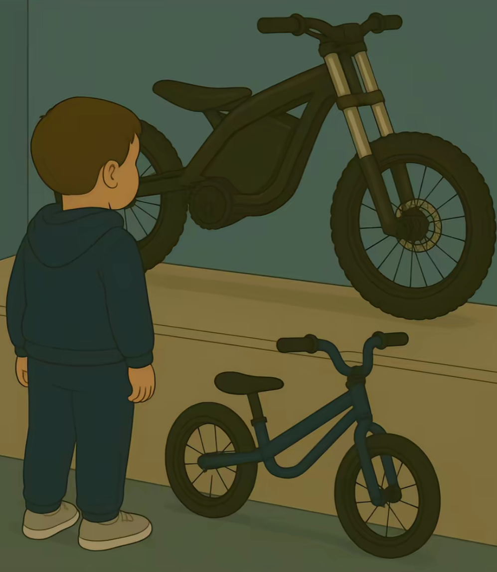 bikes 