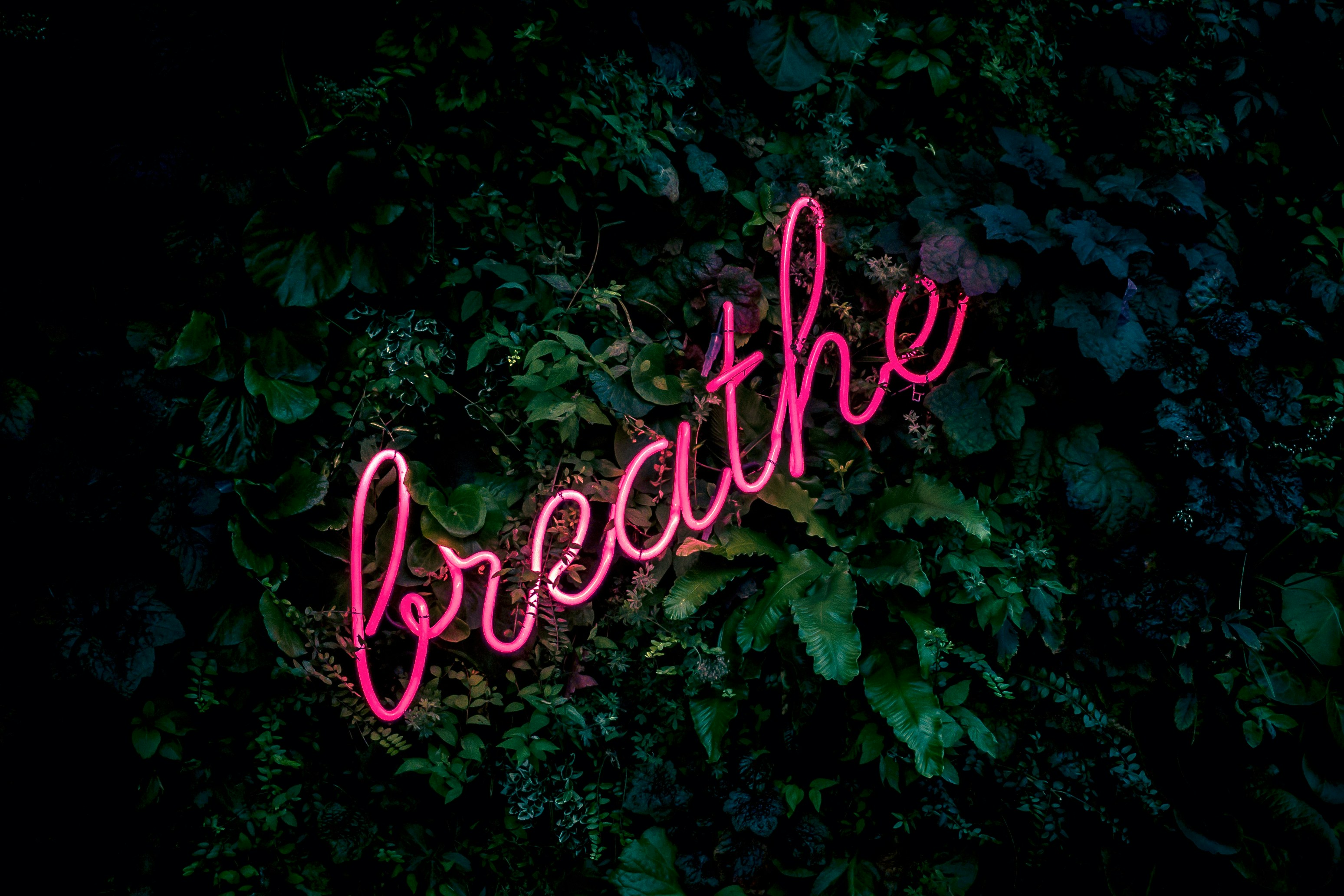   breathe  vital