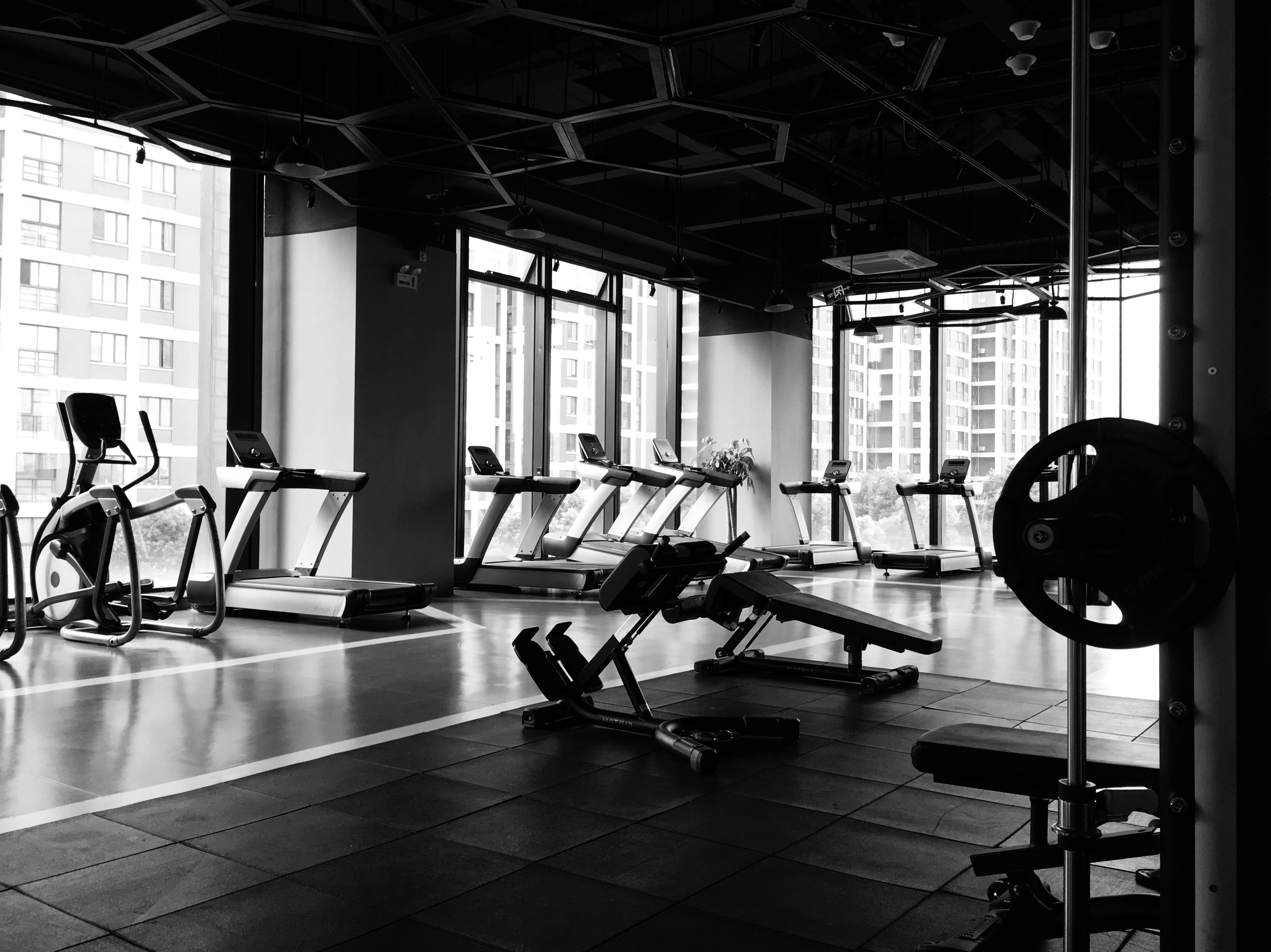 Gym for Beginners (Guide)