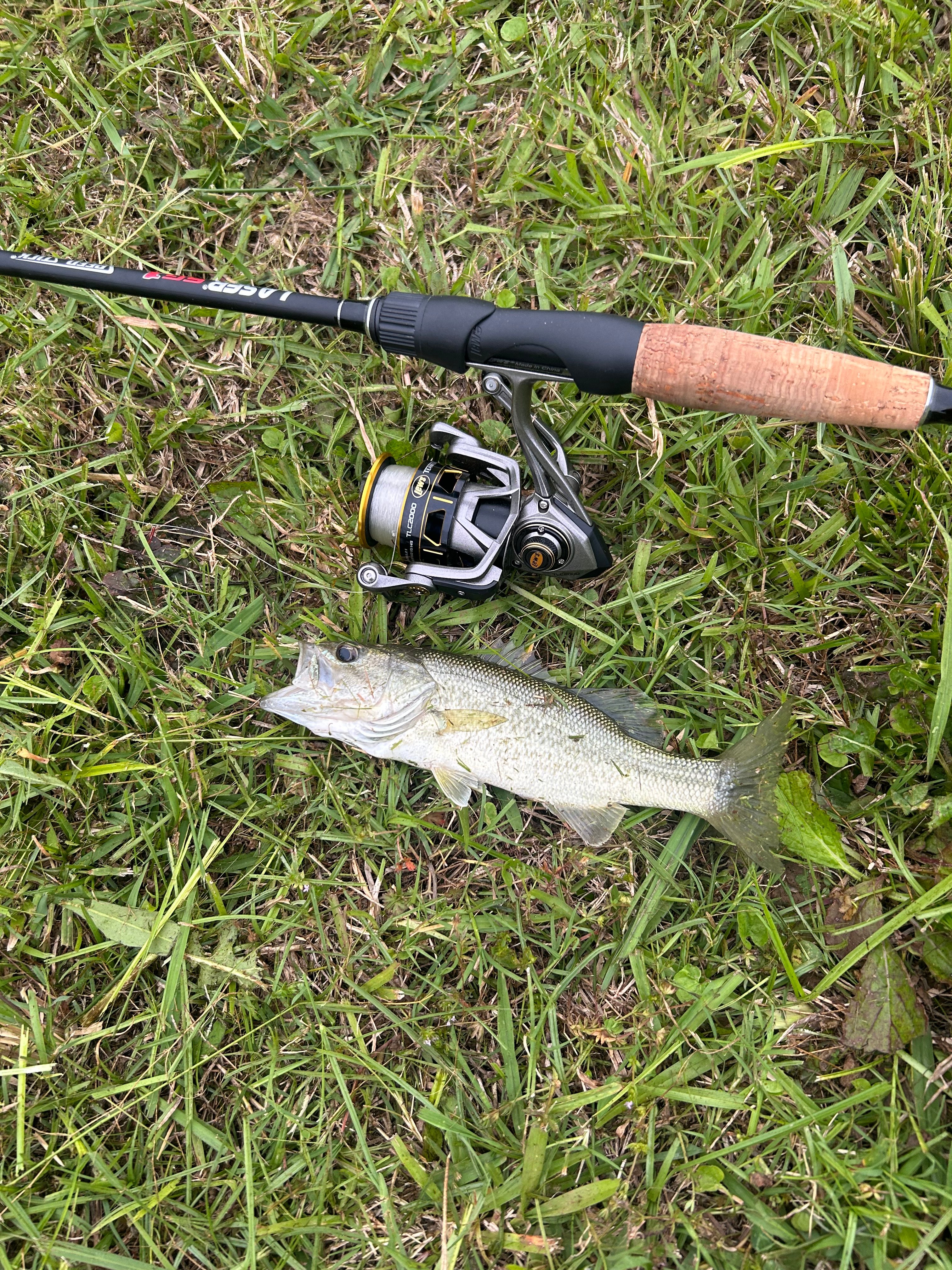 Blayne’s tackle 
