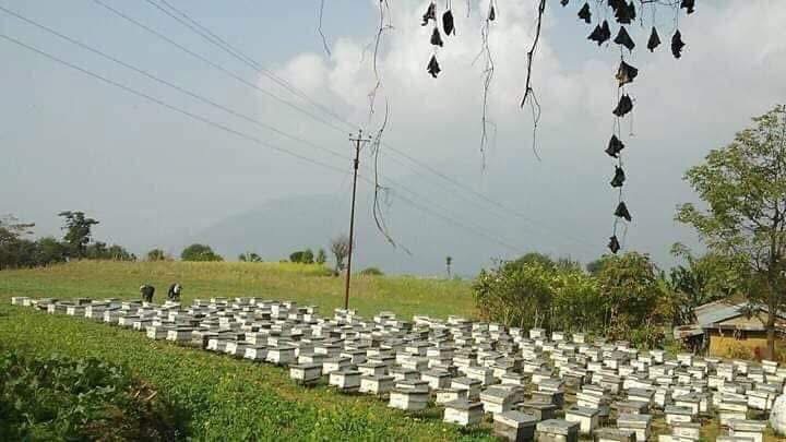 Beeyond Source