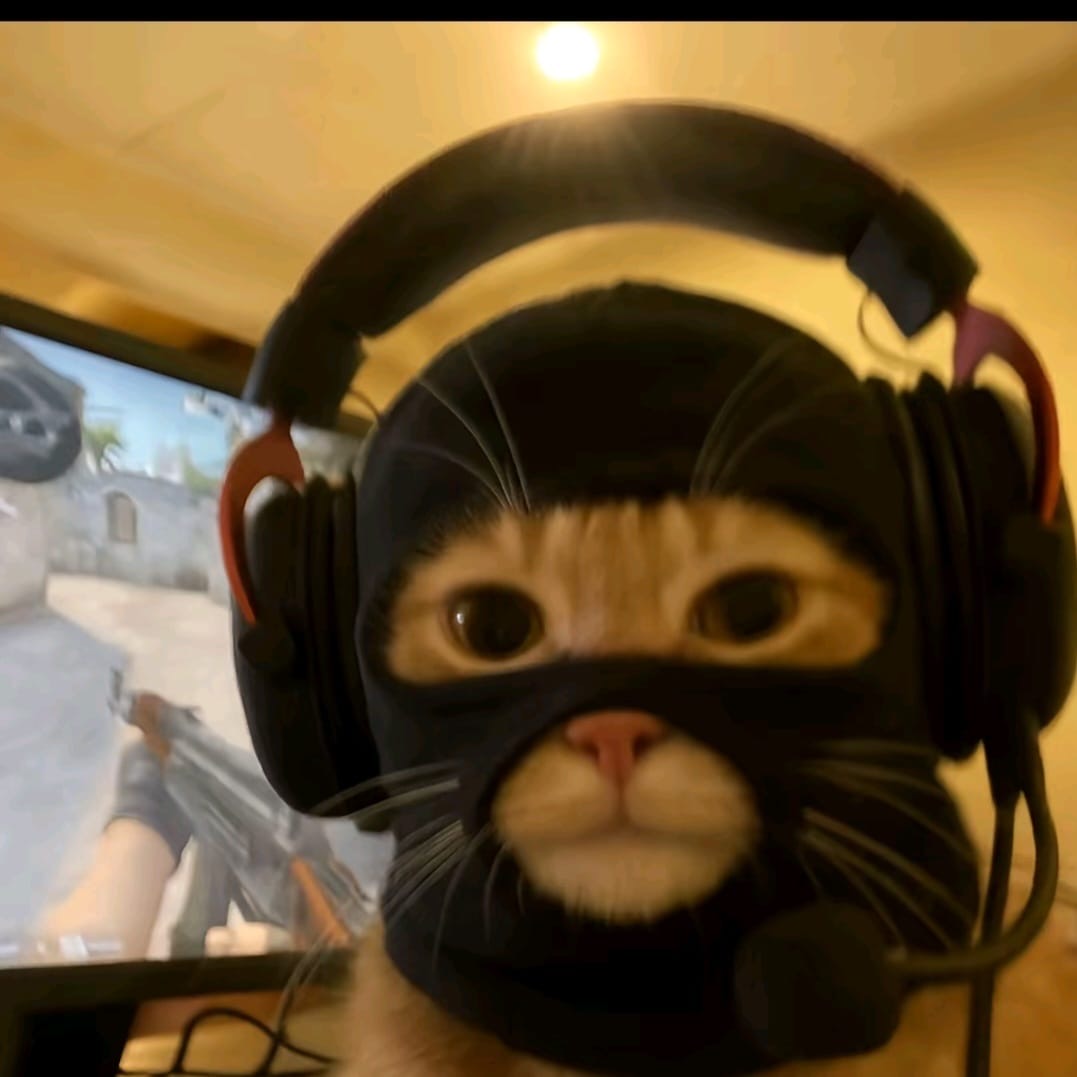 xYoolo