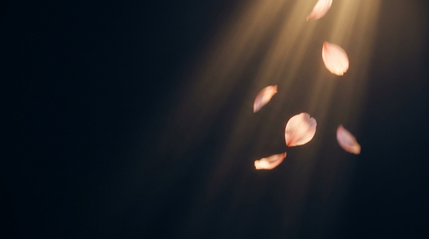 When Petals Fall