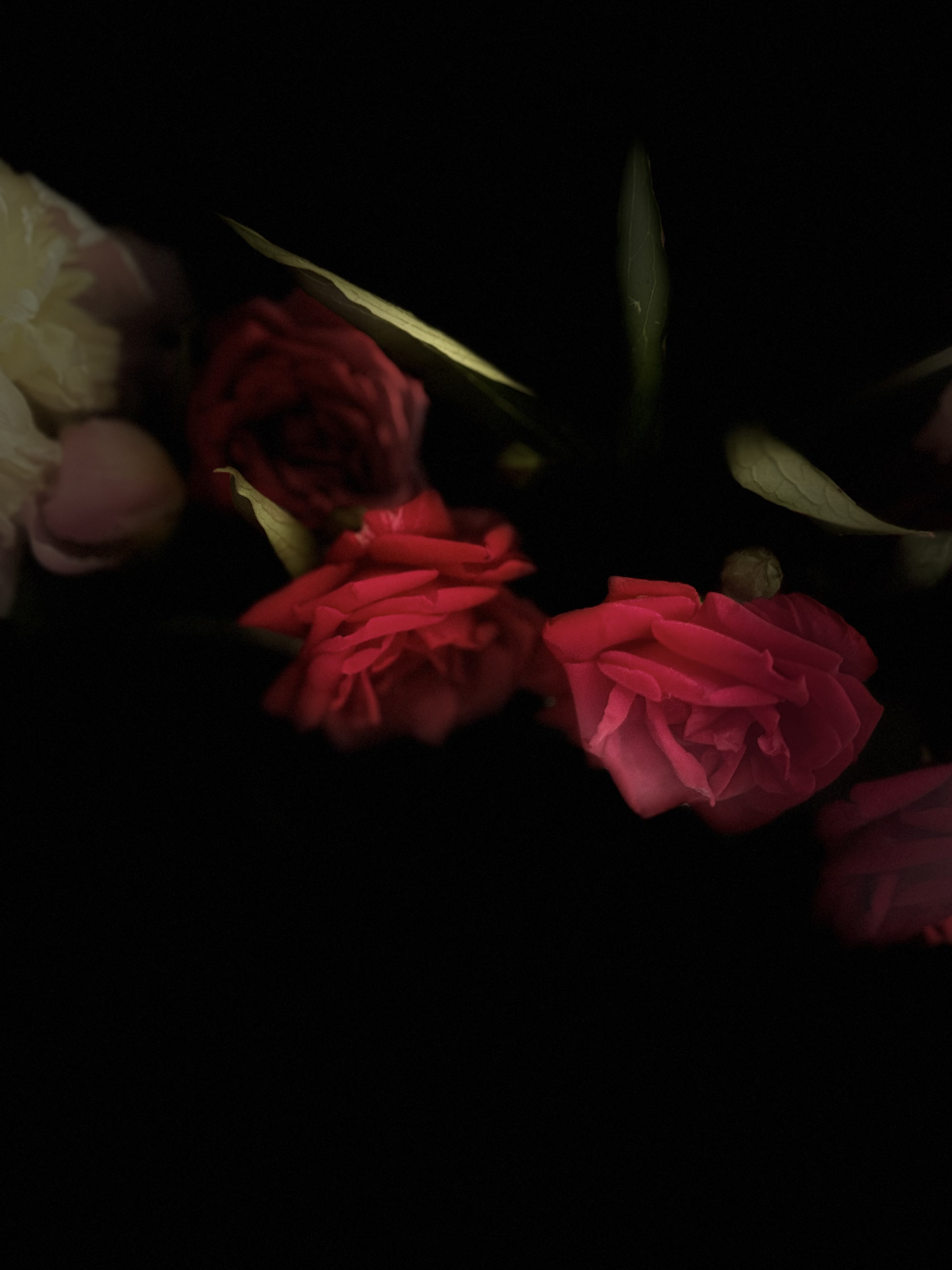 Photo DESIGN