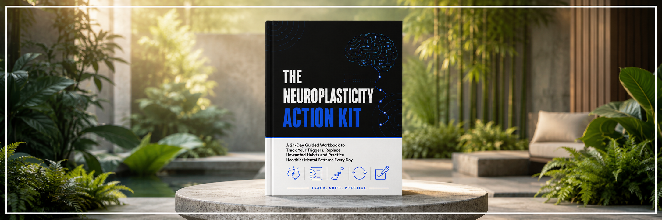 The Neuroplasticity Action Kit