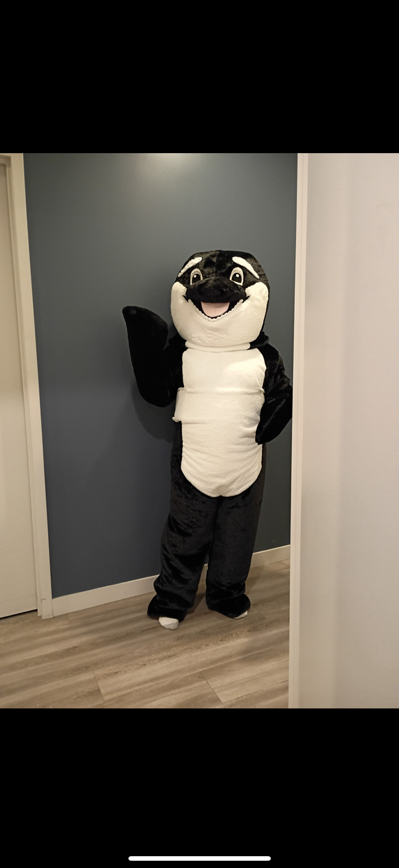 Wallie ORCA 